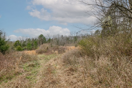 Huge Lot For Sale Near Hwy 74 in Union County NC - image 17