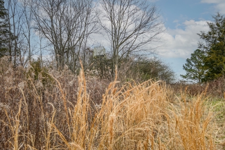 Huge Lot For Sale Near Hwy 74 in Union County NC - image 18