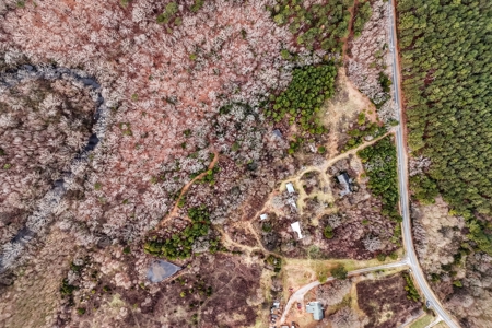 Huge Lot For Sale Near Hwy 74 in Union County NC - image 2