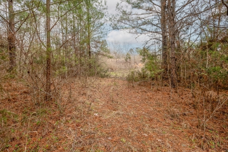 Huge Lot For Sale Near Hwy 74 in Union County NC - image 19