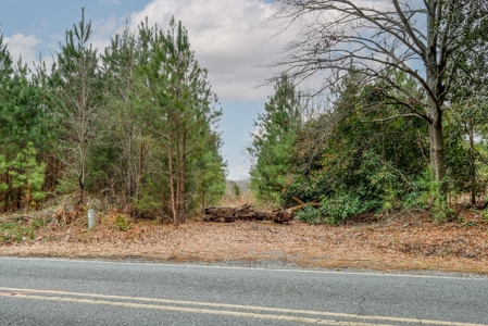 Huge Lot For Sale Near Hwy 74 in Union County NC - image 11