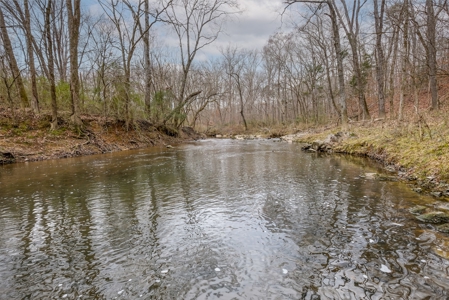 Huge Lot For Sale Near Hwy 74 in Union County NC - image 13