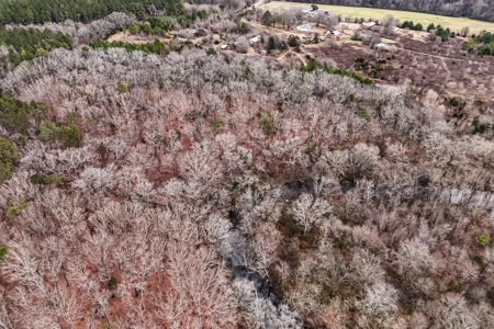 Huge Lot For Sale Near Hwy 74 in Union County NC - image 16
