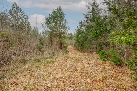 Huge Lot For Sale Near Hwy 74 in Union County NC - image 20