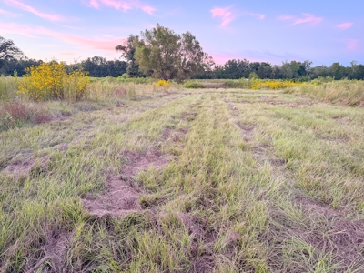Recreational Hunting Land For Auction in Winnsboro TX - image 36