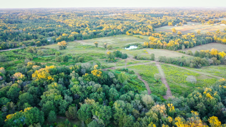 Recreational Hunting Land For Auction in Winnsboro TX - image 21