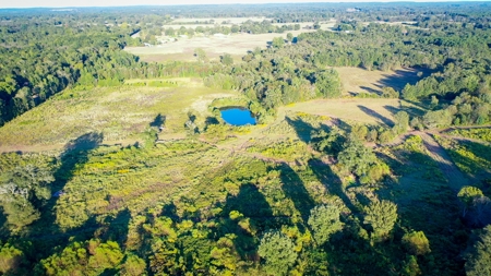 Recreational Hunting Land For Auction in Winnsboro TX - image 18