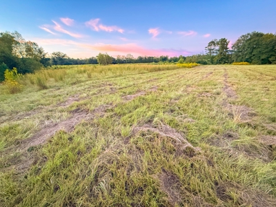 Recreational Hunting Land For Auction in Winnsboro TX - image 30