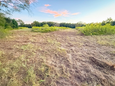 Recreational Hunting Land For Auction in Winnsboro TX - image 32