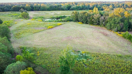 Recreational Hunting Land For Auction in Winnsboro TX - image 8