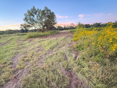 Recreational Hunting Land For Auction in Winnsboro TX - image 24