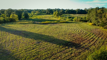 Recreational Hunting Land For Auction in Winnsboro TX - image 10