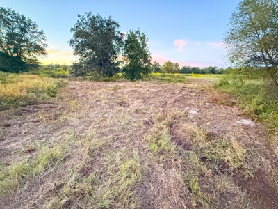 Recreational Hunting Land For Auction in Winnsboro TX - image 33