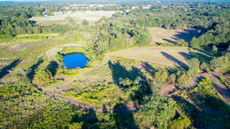 Recreational Hunting Land For Auction in Winnsboro TX - image 48