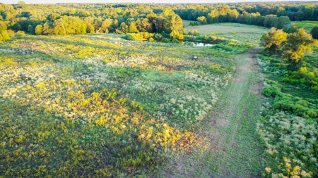 Recreational Hunting Land For Auction in Winnsboro TX - image 26