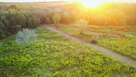 Recreational Hunting Land For Auction in Winnsboro TX - image 12