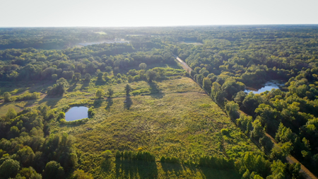 Recreational Hunting Land For Auction in Winnsboro TX - image 41