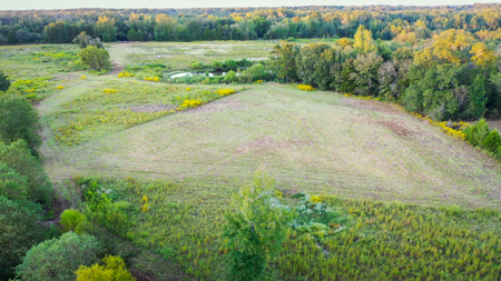 Recreational Hunting Land For Auction in Winnsboro TX - image 14