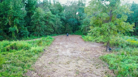 Recreational Hunting Land For Auction in Winnsboro TX - image 9