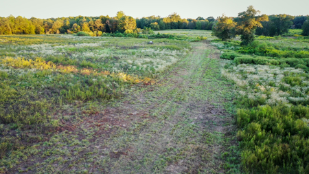 Recreational Hunting Land For Auction in Winnsboro TX - image 18