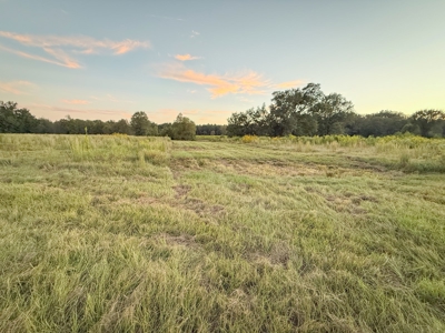 Recreational Hunting Land For Auction in Winnsboro TX - image 23