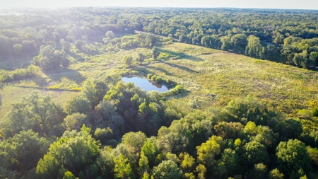 Recreational Hunting Land For Auction in Winnsboro TX - image 17