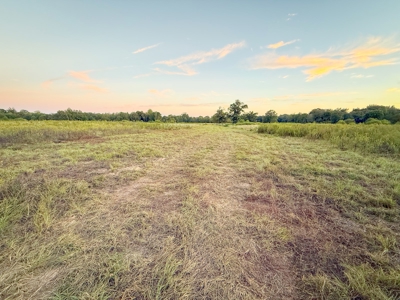 Recreational Hunting Land For Auction in Winnsboro TX - image 20