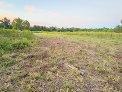 Recreational Hunting Land For Auction in Winnsboro TX - image 34