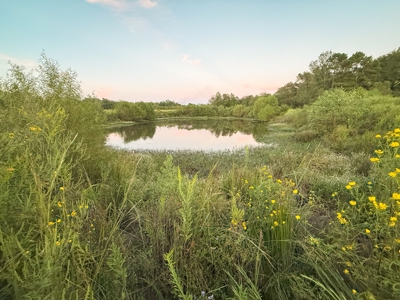 Recreational Hunting Land For Auction in Winnsboro TX - image 26