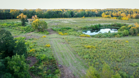 Recreational Hunting Land For Auction in Winnsboro TX - image 20