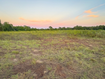 Recreational Hunting Land For Auction in Winnsboro TX - image 21