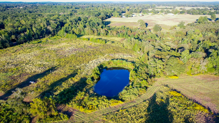 Recreational Hunting Land For Auction in Winnsboro TX - image 46
