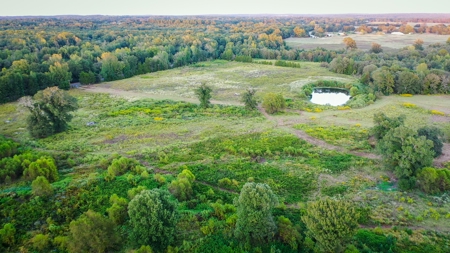 Recreational Hunting Land For Auction in Winnsboro TX - image 2