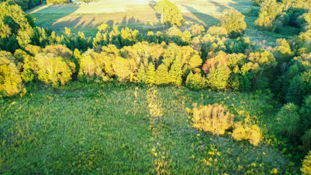 Recreational Hunting Land For Auction in Winnsboro TX - image 25