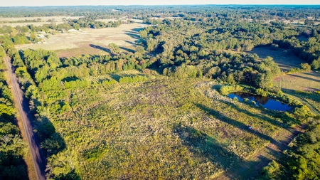 Recreational Hunting Land For Auction in Winnsboro TX - image 13
