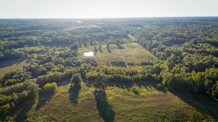 Recreational Hunting Land For Auction in Winnsboro TX - image 42