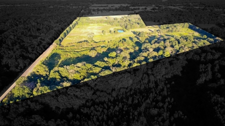 Recreational Hunting Land For Auction in Winnsboro TX - image 1
