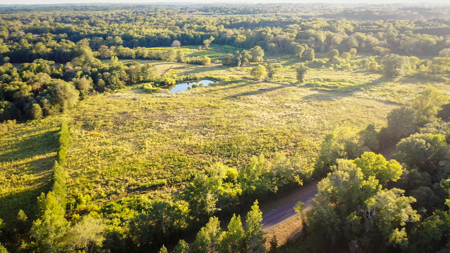 Recreational Hunting Land For Auction in Winnsboro TX - image 37