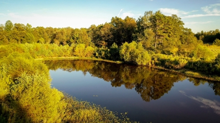 Recreational Hunting Land For Auction in Winnsboro TX - image 15