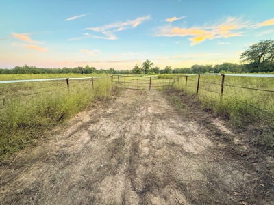 Recreational Hunting Land For Auction in Winnsboro TX - image 19
