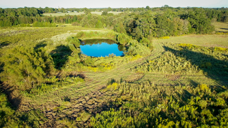 Recreational Hunting Land For Auction in Winnsboro TX - image 34
