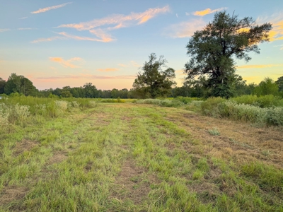 Recreational Hunting Land For Auction in Winnsboro TX - image 22