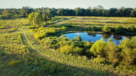 Recreational Hunting Land For Auction in Winnsboro TX - image 11