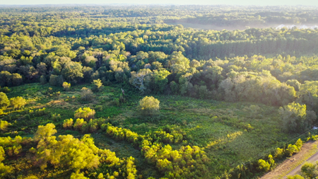 Recreational Hunting Land For Auction in Winnsboro TX - image 29