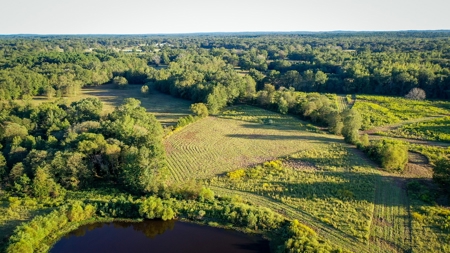 Recreational Hunting Land For Auction in Winnsboro TX - image 16