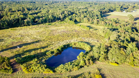 Recreational Hunting Land For Auction in Winnsboro TX - image 45