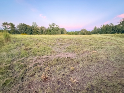 Recreational Hunting Land For Auction in Winnsboro TX - image 28