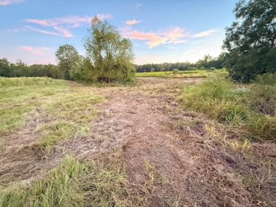 Recreational Hunting Land For Auction in Winnsboro TX - image 27