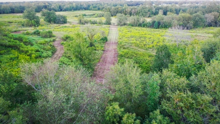 Recreational Hunting Land For Auction in Winnsboro TX - image 5