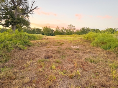 Recreational Hunting Land For Auction in Winnsboro TX - image 37